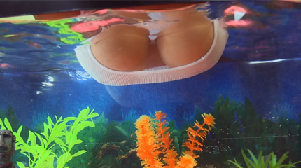 Natural double D tits in the fish tank