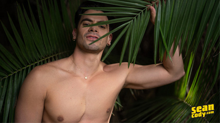 Muscular chest and thick cock